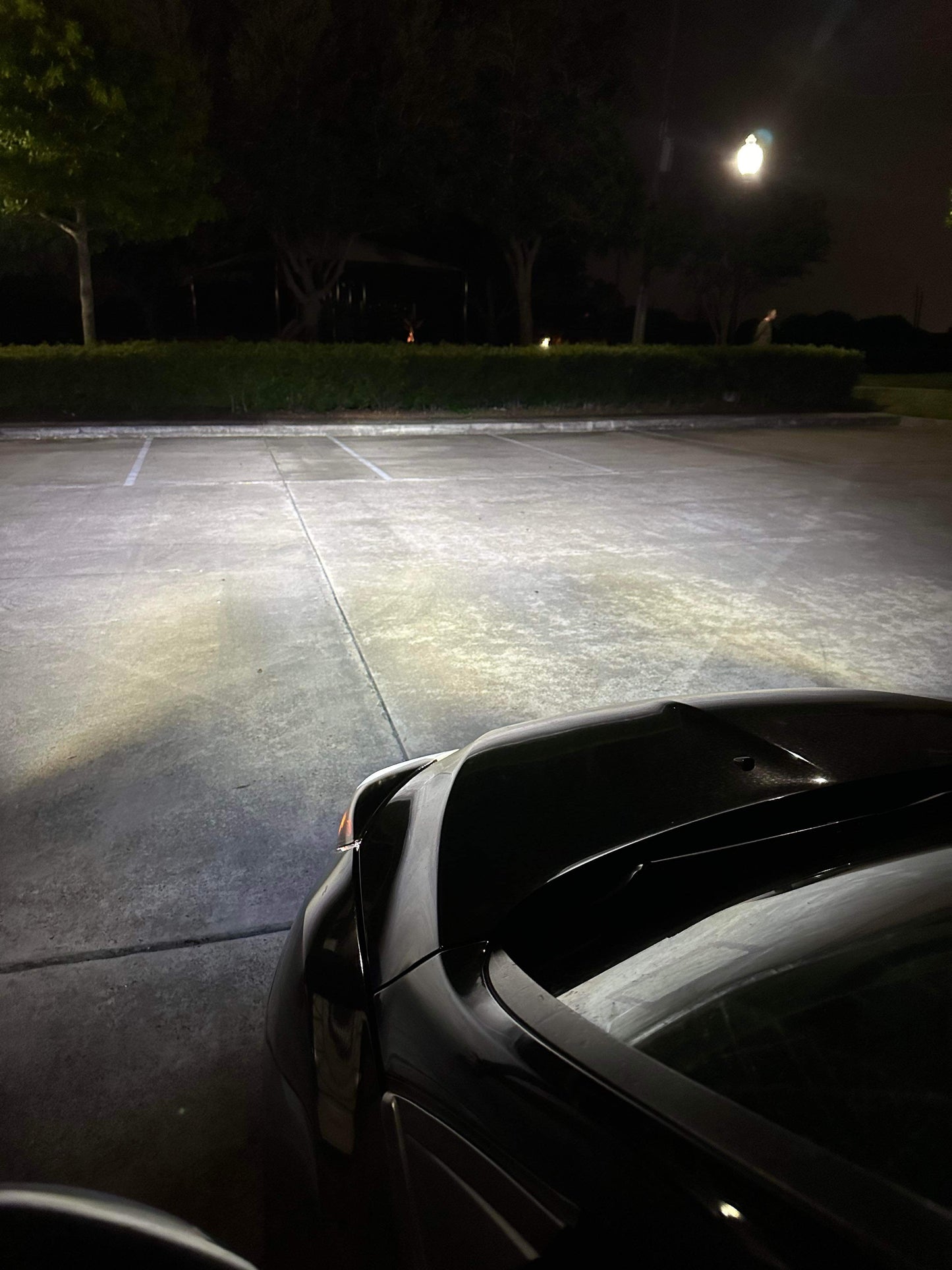 HSF D Series (D3S/D8S) LED Factory HID Replacement Bulbs (2013-2018 Ford Focus ST/RS with OEM Projectors)