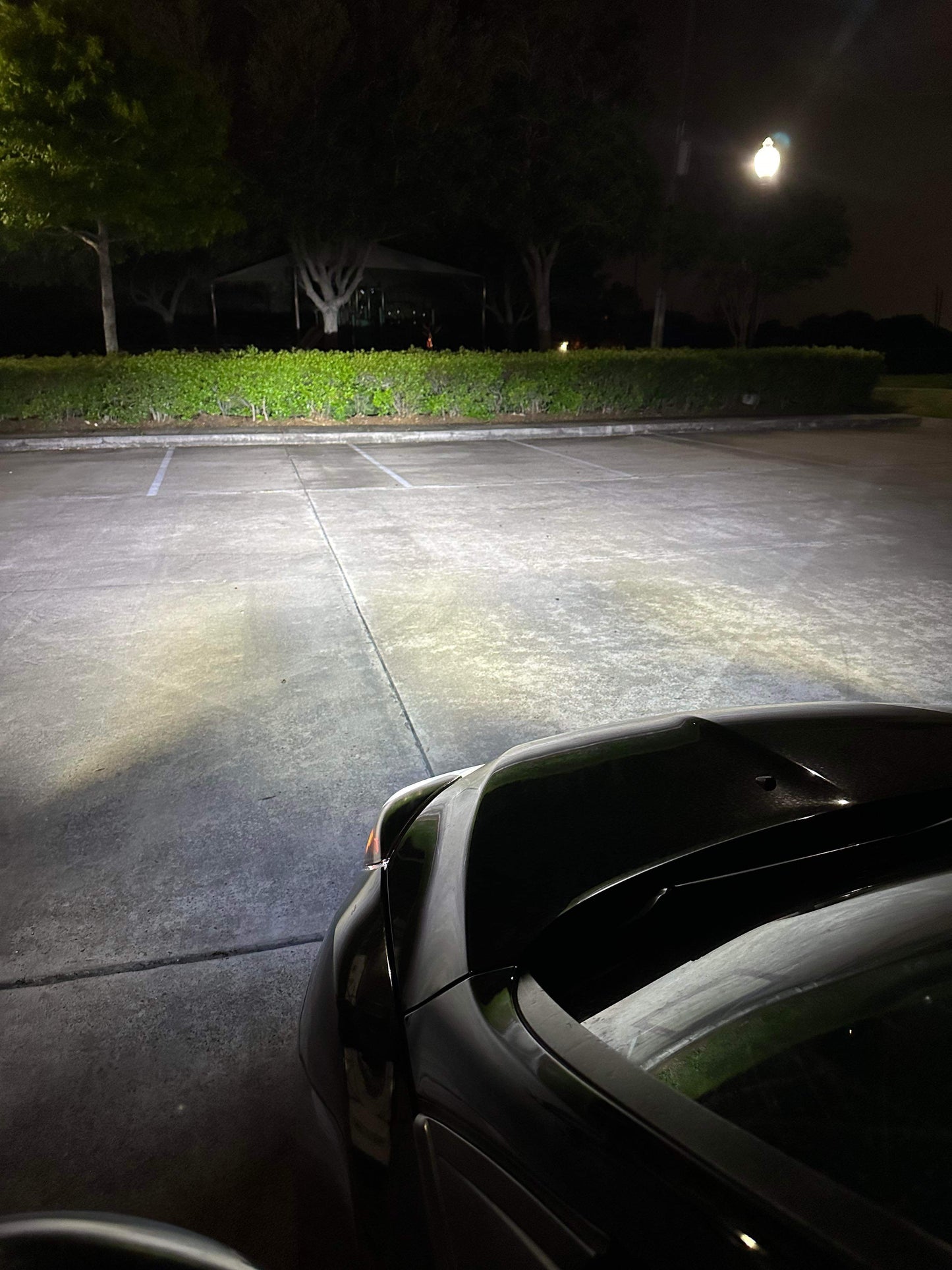 HSF D Series (D3S/D8S) LED Factory HID Replacement Bulbs (2013-2018 Ford Focus ST/RS with OEM Projectors)
