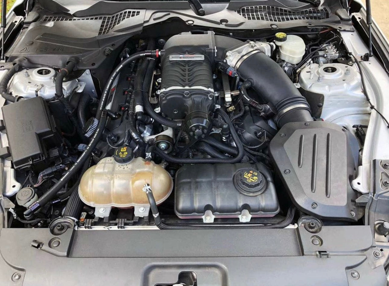 Plug N Play™ Single Valve Oil Catch Can with CSS (fits 15-20 Mustang GT with TVS VMP) UPR