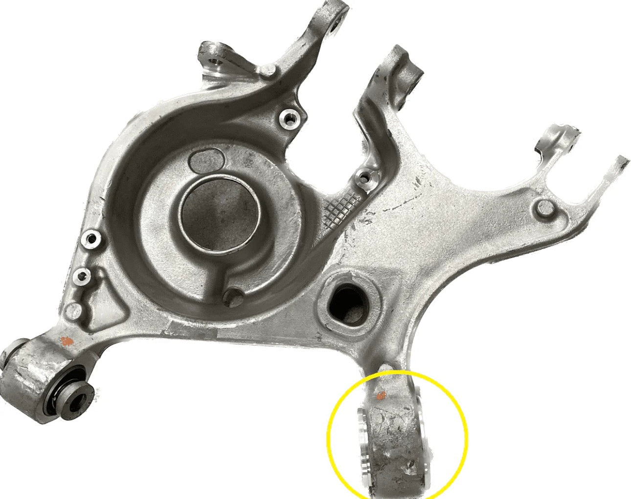 Rear Lower Control Arm Bearing Kit (fits 15-24 Mustang S550 S650) UPR