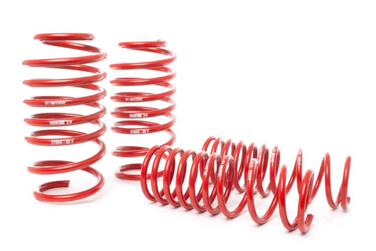 H/R Race Lowering Springs (2014-2018 Ford Focus ST)