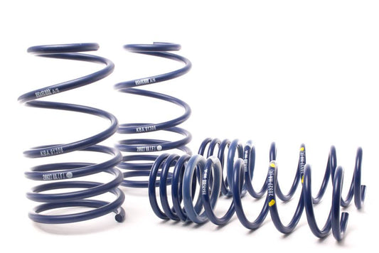H/R Sport Lowering Springs (2013 Ford Focus ST)