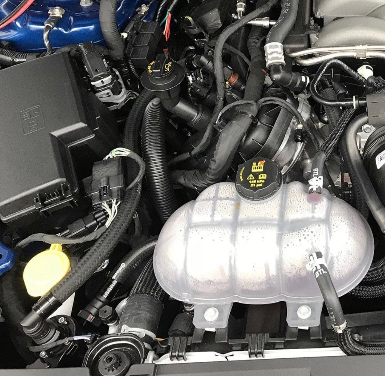Plug N Play™ Single Valve Oil Catch Can with Clean Side Separator (fits 18-23 Mustang GT) UPR
