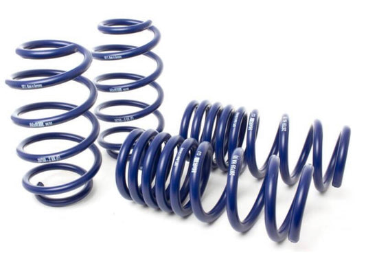H&R Special Springs Edge ST/ Sport Spring Kit