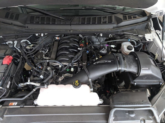 INTAKE KIT FOR F150 5.0L 15-20, (NO TUNE REQUIRED) N-FS101-2